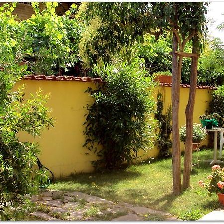 B&B Degli Amici Ciampino Bagian luar foto